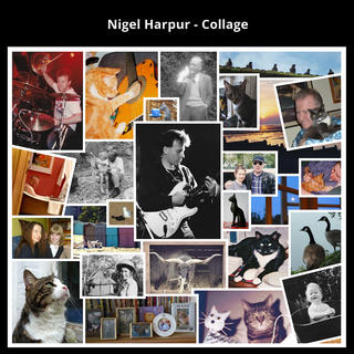 A collage of camera snapshots,mostly colour and some black and white, of the artist, friends, family and cats.